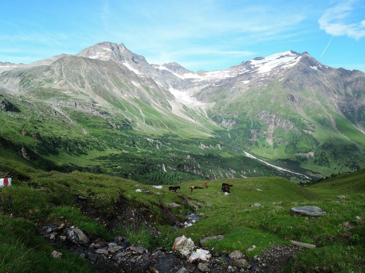 Bed and Breakfast Landhaus Scherer Rauris Exterior foto